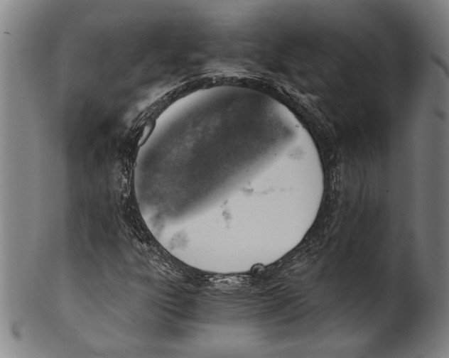 X0000100901303200807220942