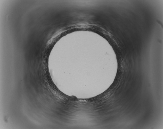 X0000100901304200807220942