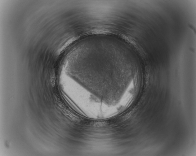 X0000100901306200807220942