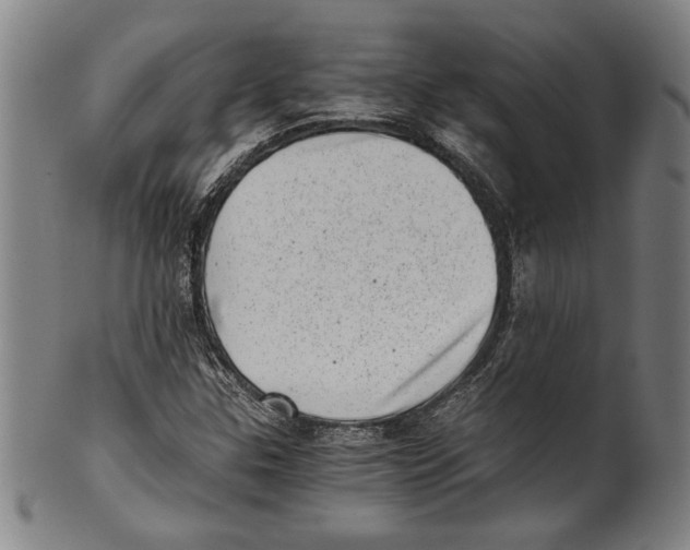 X0000100901307200807220942