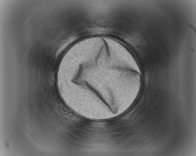 X0000100901309200807220942