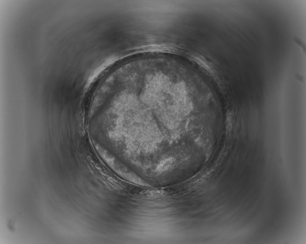 X0000100901310200807220942