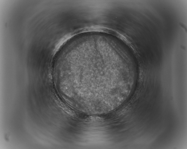 X0000100901312200807220942