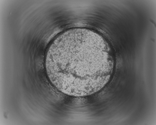 X0000100901314200807220942