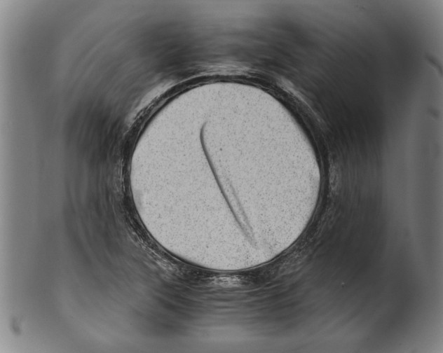 X0000100901315200807220942