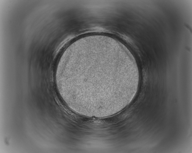 X0000100901318200807220942