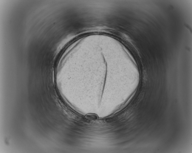 X0000100901320200807220942