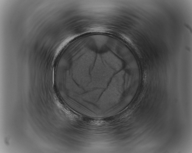 X0000100901323200807220942