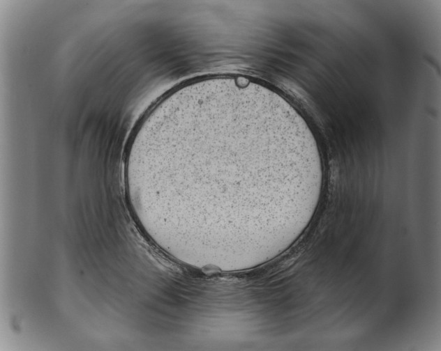 X0000100901324200807220942