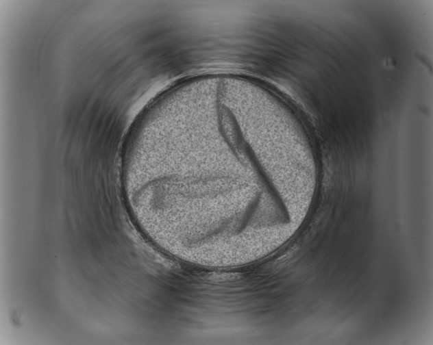 X0000100901325200807220942