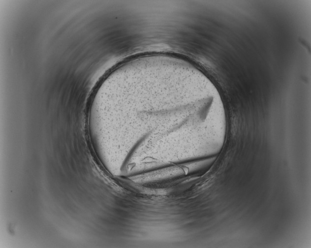 X0000100901326200807220942