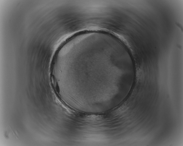 X0000100901327200807220942