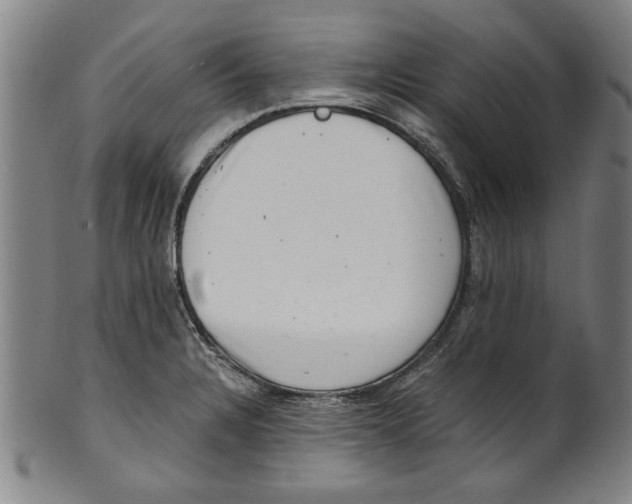 X0000100901328200807220942