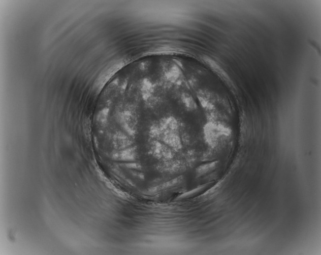 X0000100901329200807220942