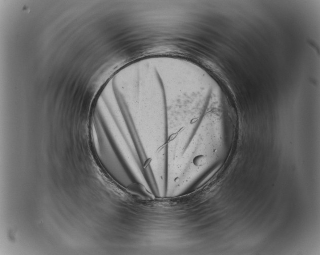 X0000100901330200807220942