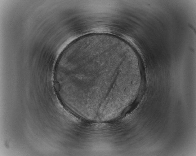 X0000100901331200807220942