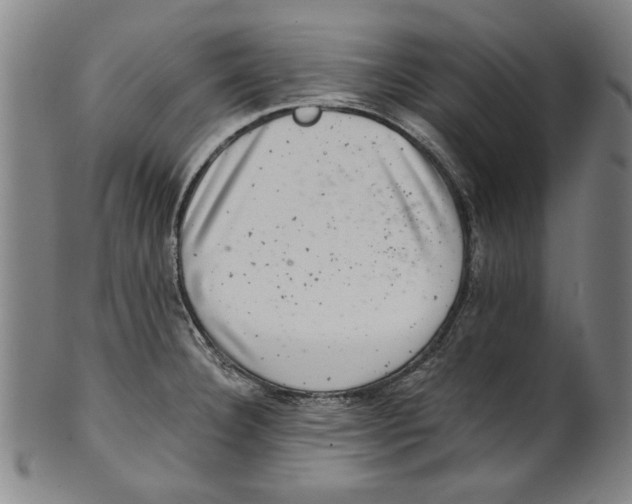 X0000100901332200807220942