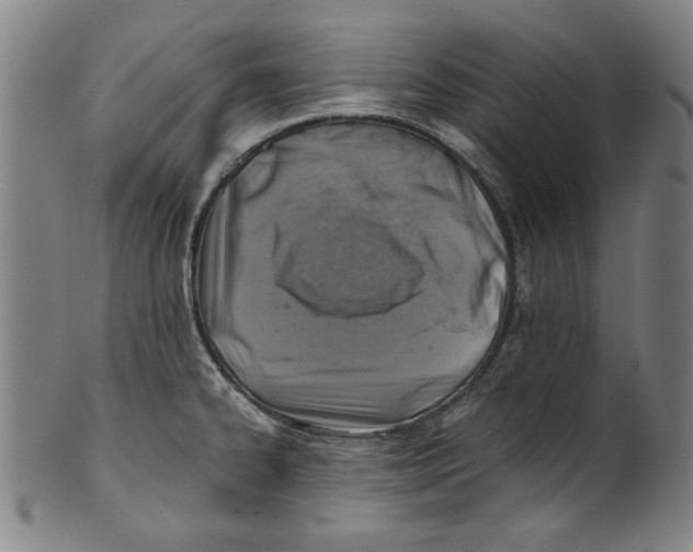 X0000100901334200807220942