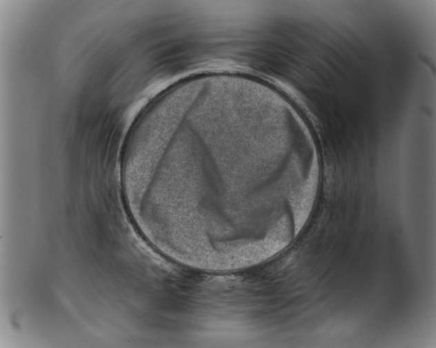 X0000100901335200807220942