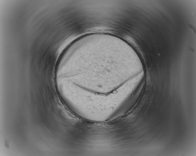 X0000100901336200807220942