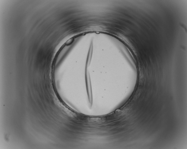 X0000100901339200807220942