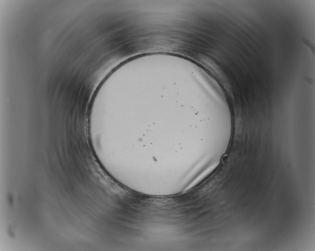 X0000100901340200807220942