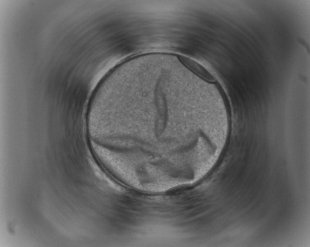 X0000100901341200807220942