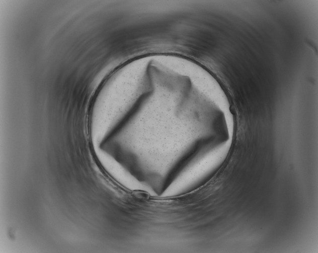 X0000100901342200807220942