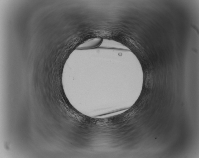 X0000100901345200807220942