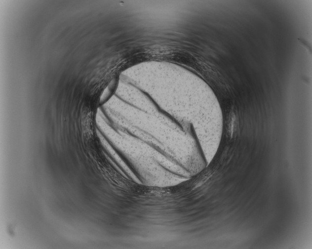 X0000100901346200807220942