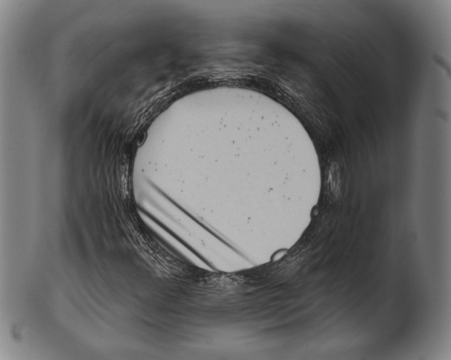 X0000100901348200807220942