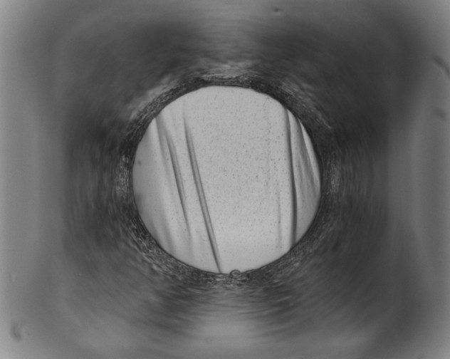 X0000100901350200807220942