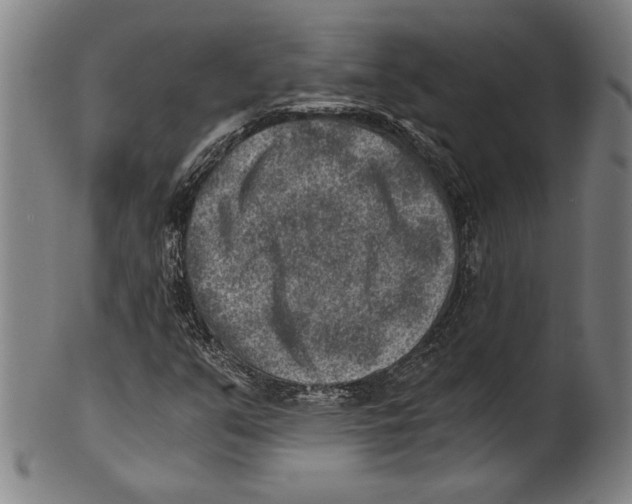 X0000100901351200807220942