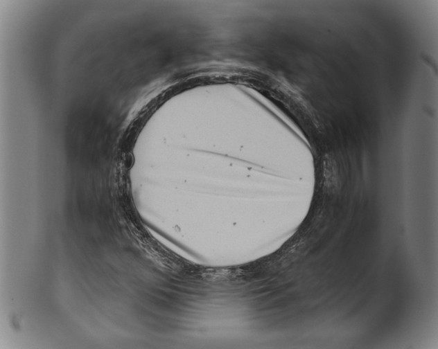 X0000100901352200807220942