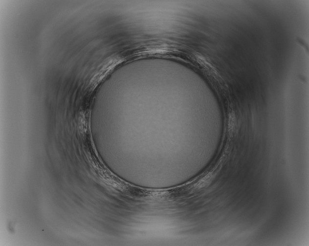 X0000100901353200807220942