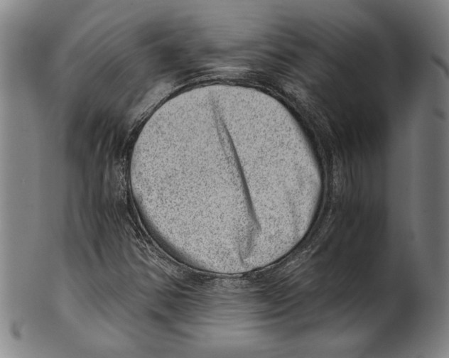 X0000100901354200807220942