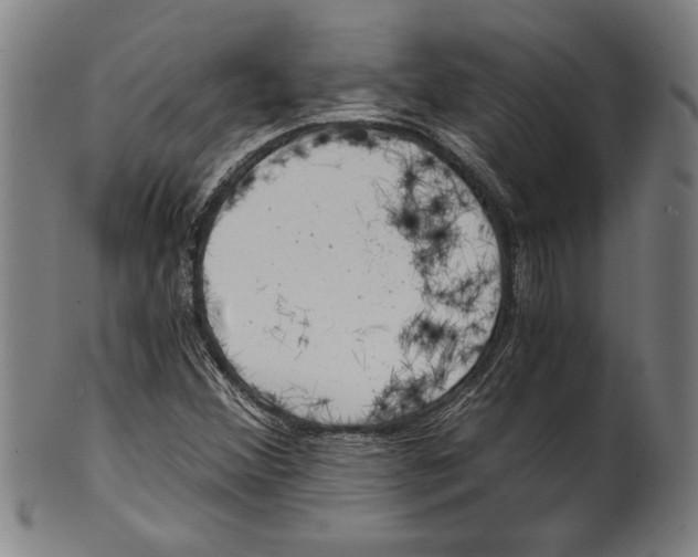 X0000100901356200807220942