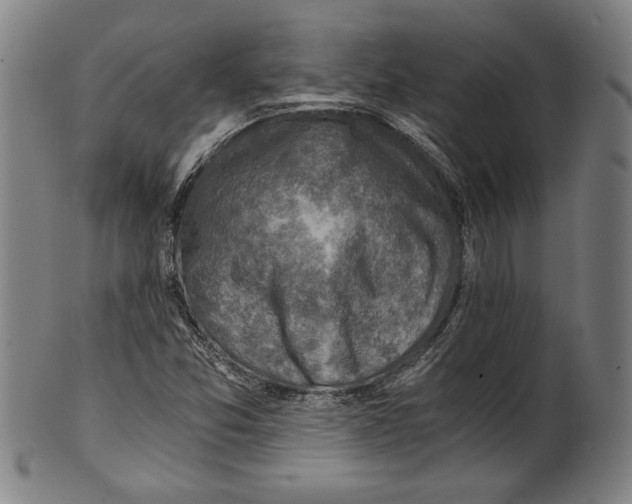 X0000100901357200807220942