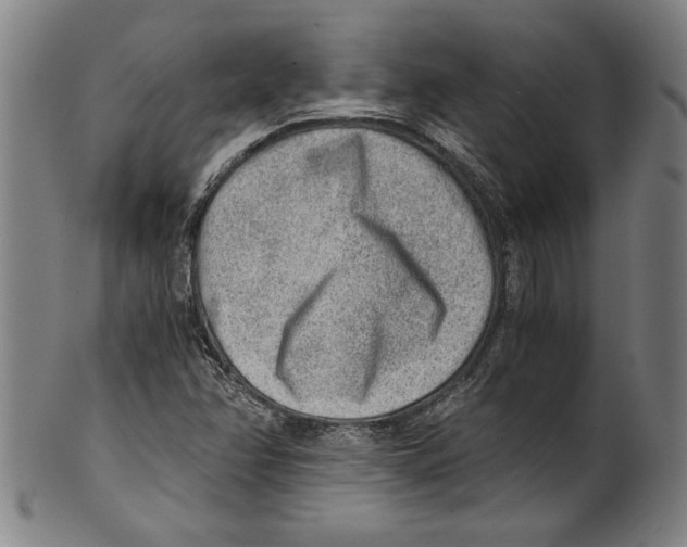 X0000100901358200807220942