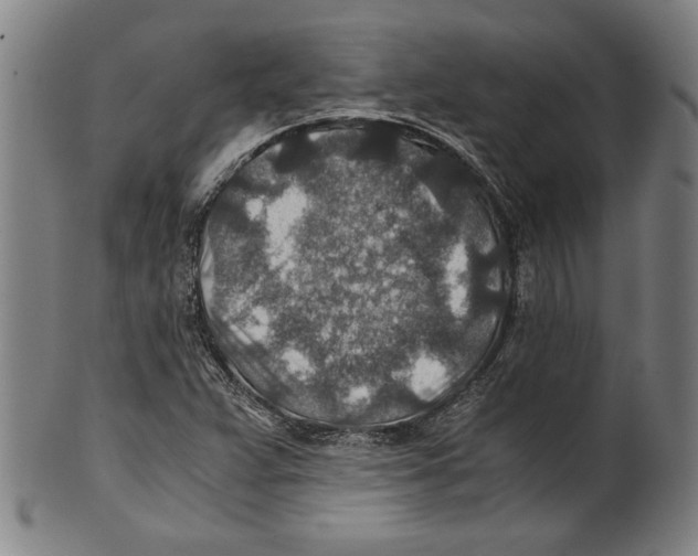 X0000100901359200807220942