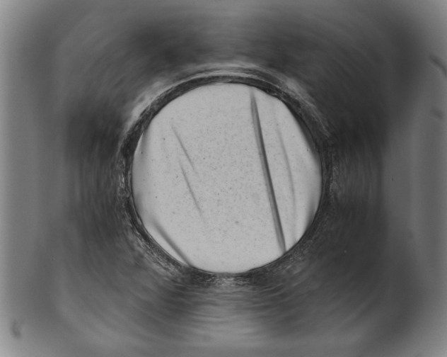 X0000100901360200807220942