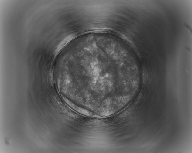 X0000100901362200807220942