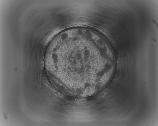 X0000100901363200807220942