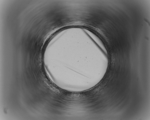 X0000100901364200807220942