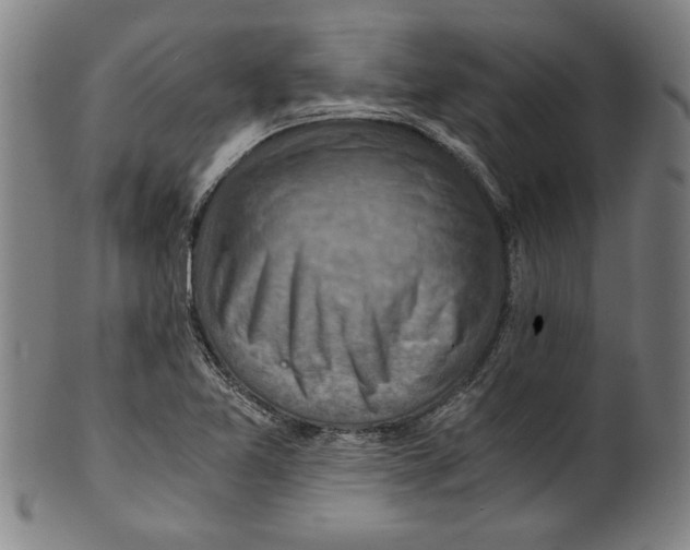 X0000100901365200807220941