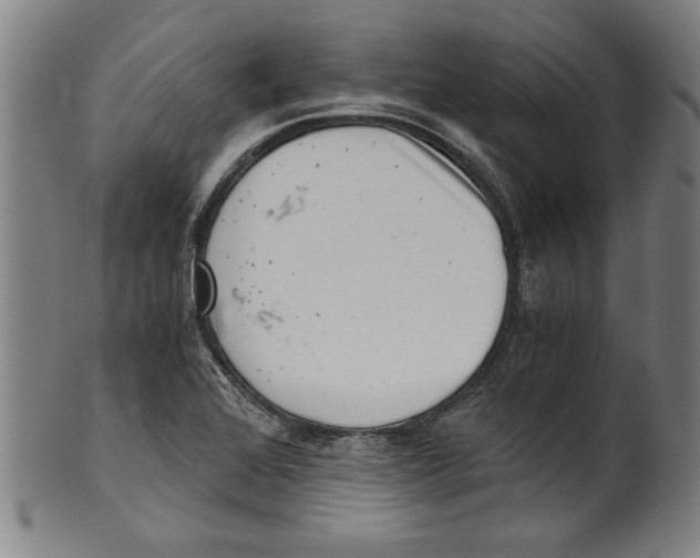 X0000100901368200807220941