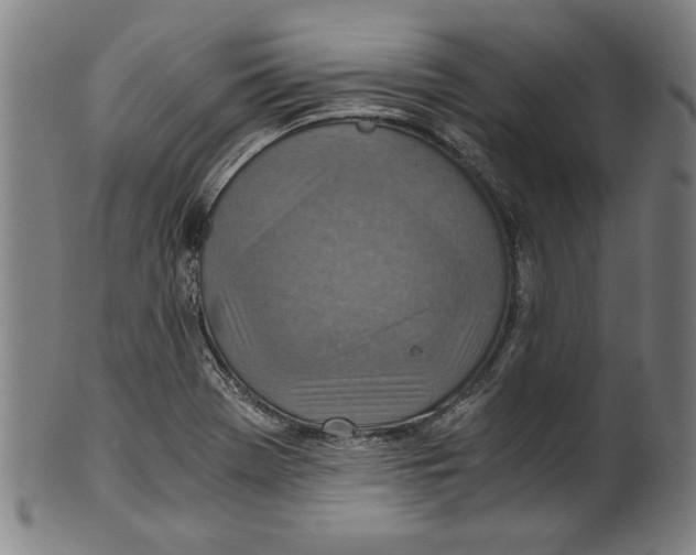 X0000100901369200807220941