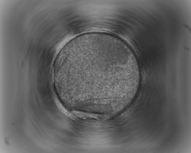 X0000100901371200807220941