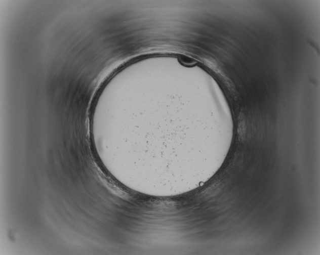 X0000100901372200807220941