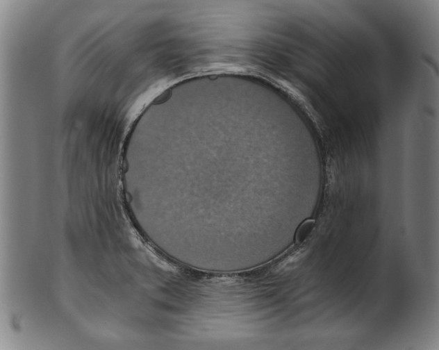 X0000100901373200807220941